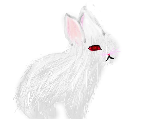 iepure