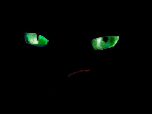 cat eyes...oh da..Merry Christmas!!!