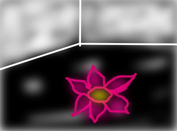 floare in intuneric