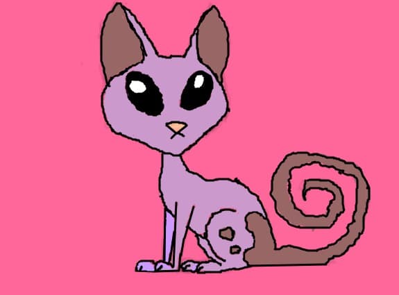 Mr. Kat