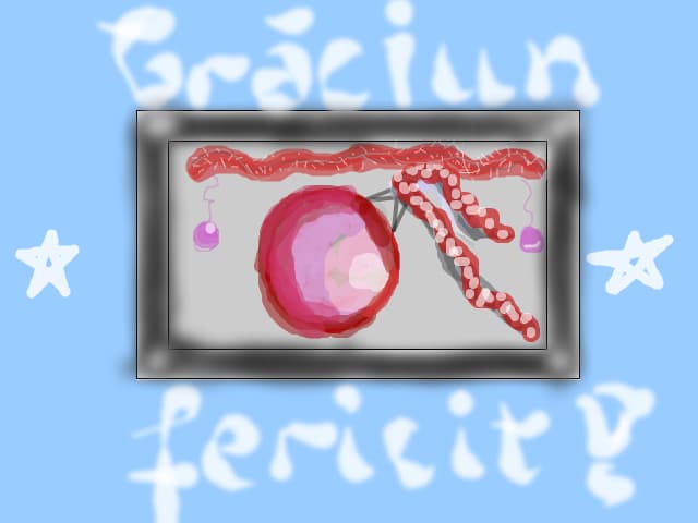 Craciun fericit
