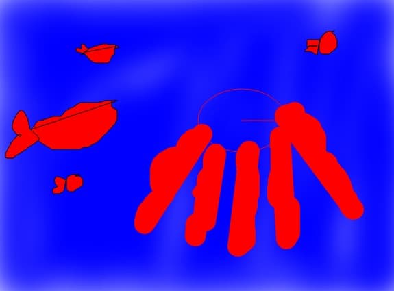 ocean