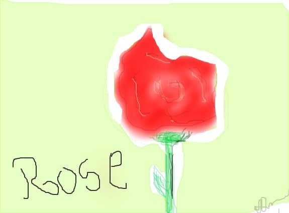 rose