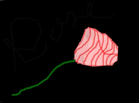 rose