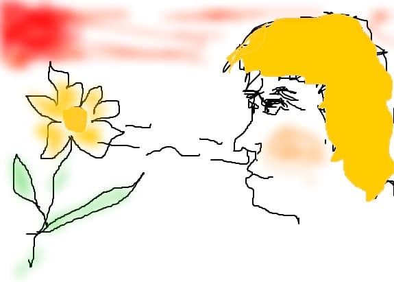 Narcisa domestica=)))))))))))))))
