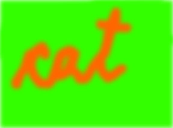 cat