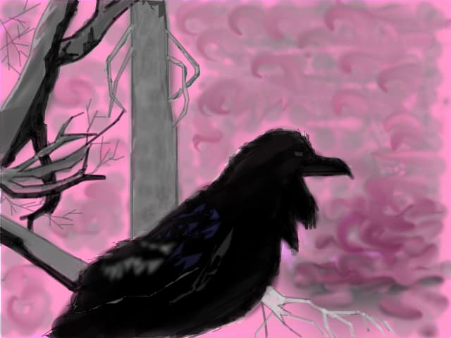 Raven