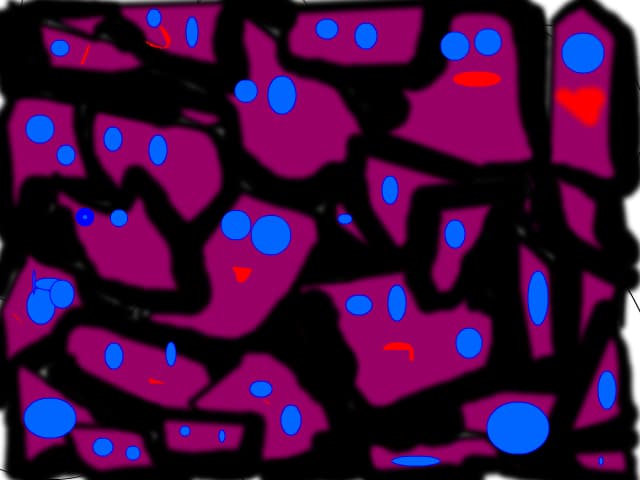 the ciuci