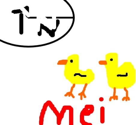IN ... Mei