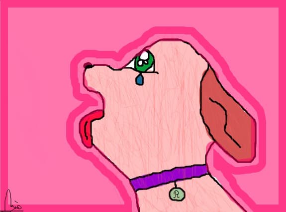 Cutu