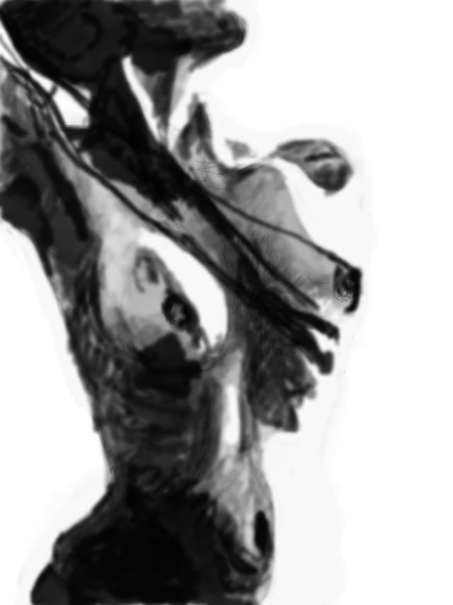 umbra
