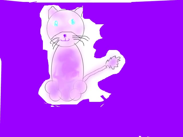 pom pom kitty
