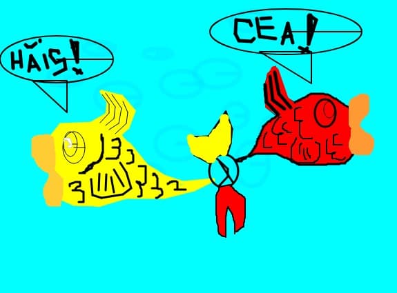 2 pesti confuzi
