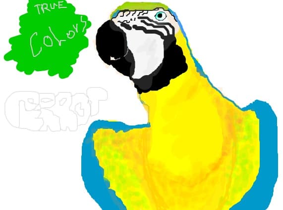 perrot