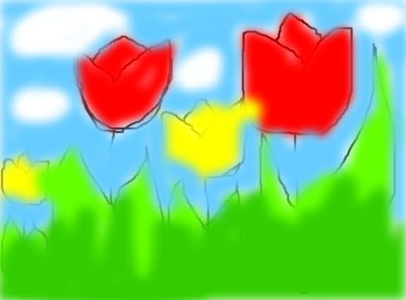 tulips