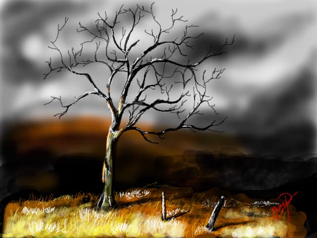 old tree