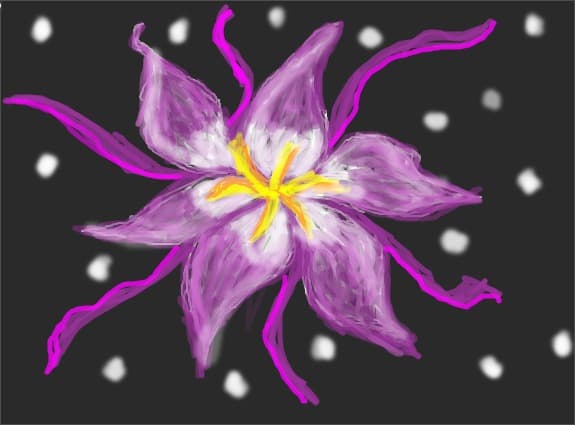 o floricica