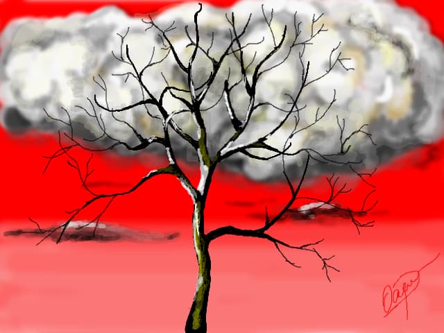 Portrait of a tree