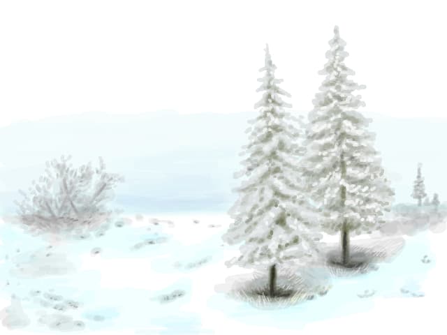 Snow tree...