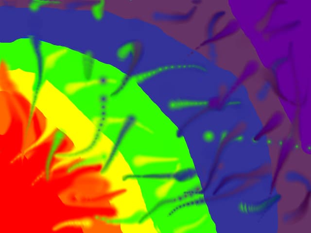 Rainbow