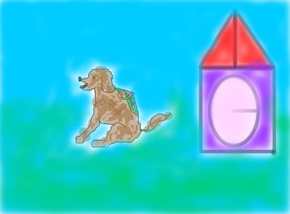 dog