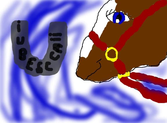 iubesc caii