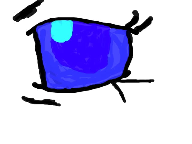 Ochi