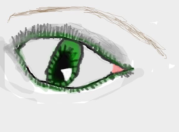 eye