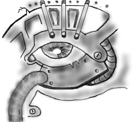 biomechanical eye