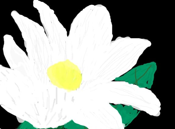 floare