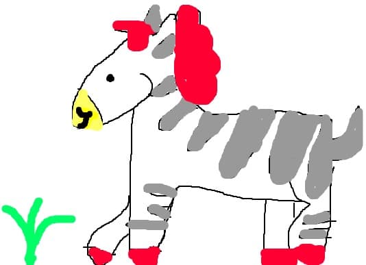 zebra colorata