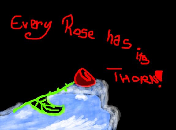 Every rose has ith Thorn!:X