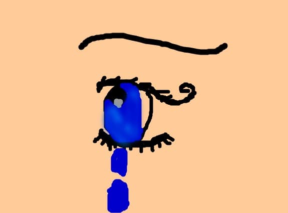 dsfgazg