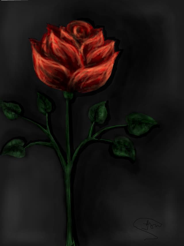 A rose 4 all... :* (Diana)