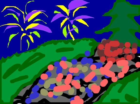 in seara de REVELION