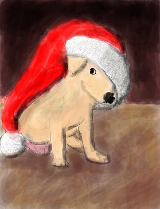 ho ho ho dog