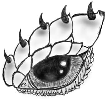 dragon eye