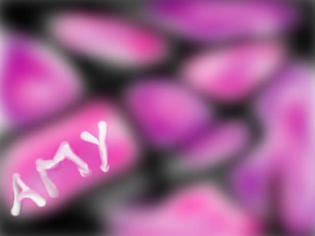 Amy