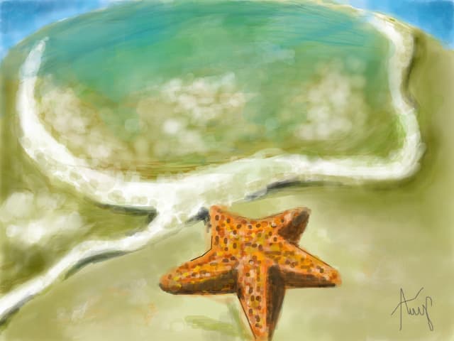 steluta de mare