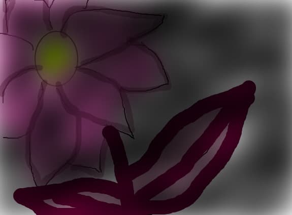the flower from the dark