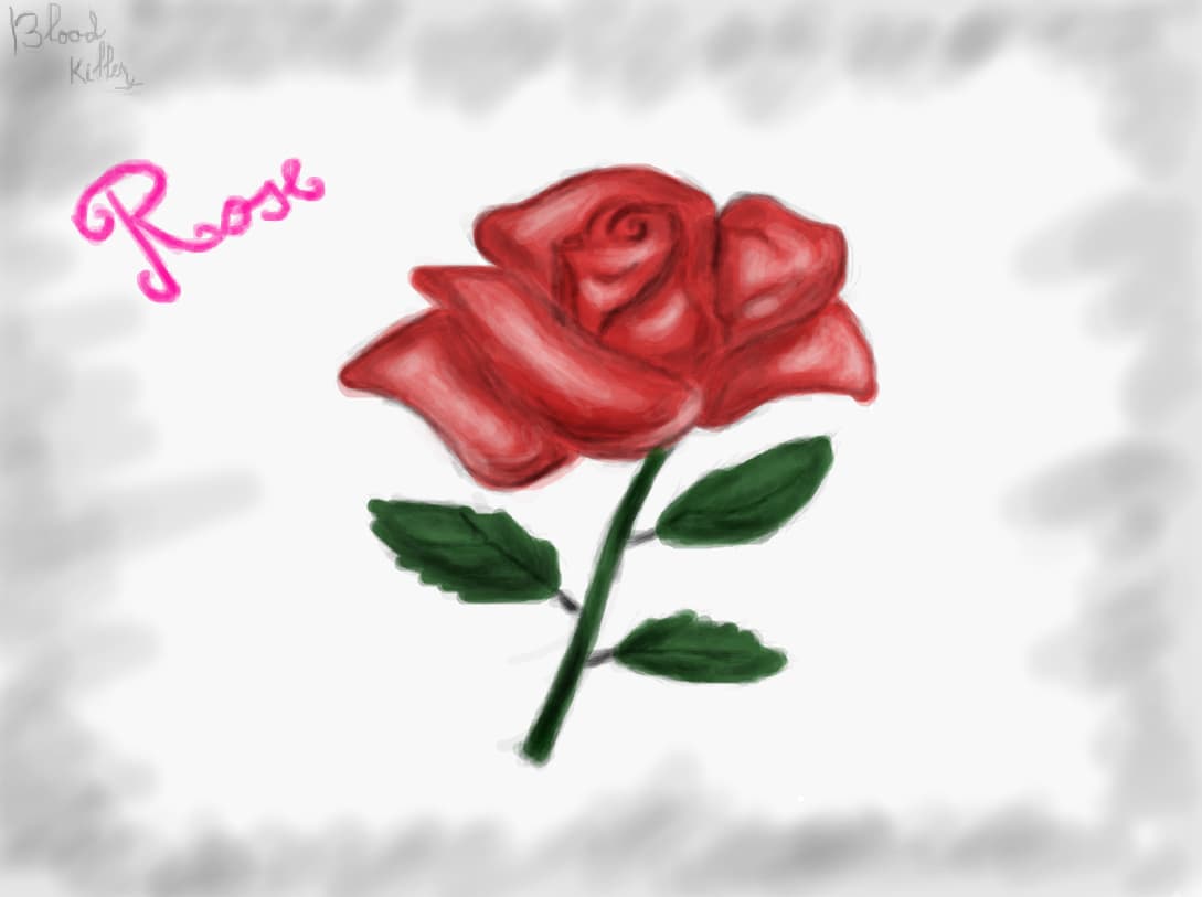 Red Rose