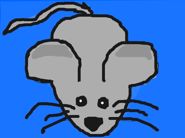 soricel