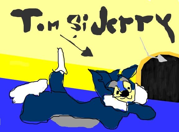 tom si jerry