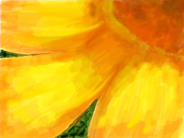 un fel de floare :-?