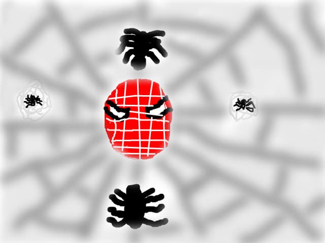 spider