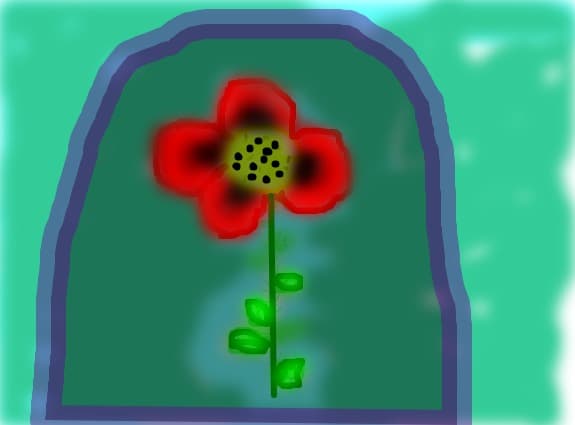 Floare de mac