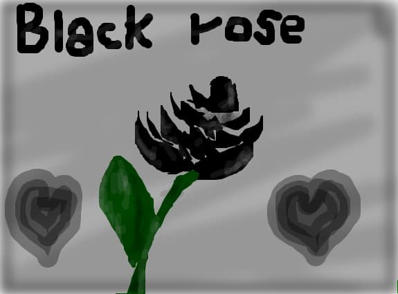 black  rose