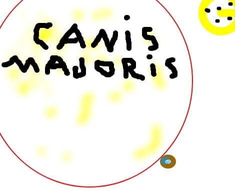 largest know star