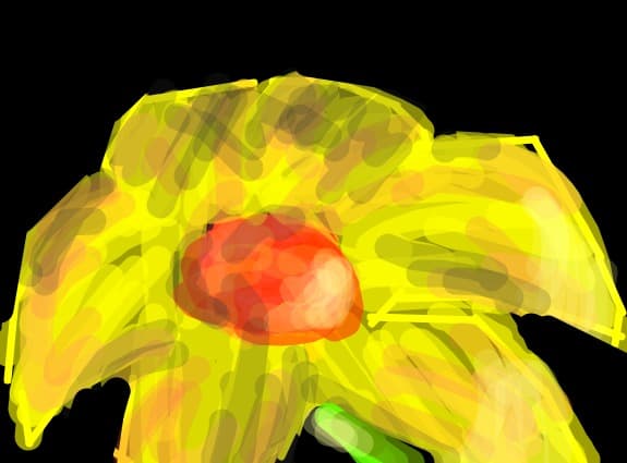 o floare