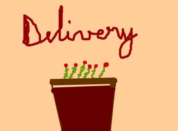 delivery
